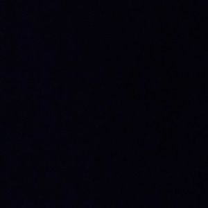 Meet your Posher, Ronnie